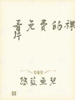 看免费的裸体毛片