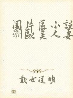 图片区小说区亚洲欧美人妻