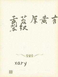 舌苔厚黄有齿痕裂纹