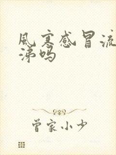 风寒感冒流清鼻涕吗