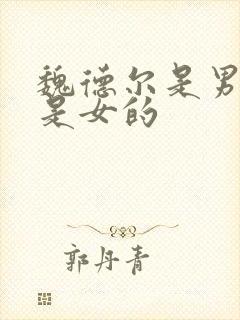 魏德尔是男的还是女的封面