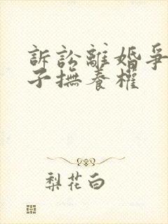 诉讼离婚争夺孩子抚养权