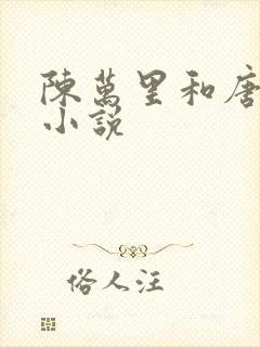 陈万里和唐嫣然小说