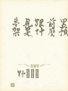 梦见跟前男友打架是什么预兆