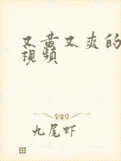 又黄又爽的日本视频