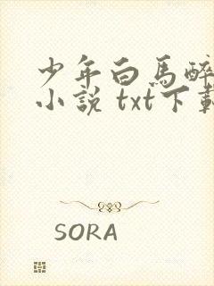 少年白马醉春风小说 txt下载封面