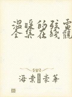 温暖的弦电视剧全集在线观看