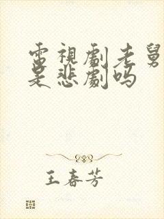 电视剧老舅结局是悲剧吗封面