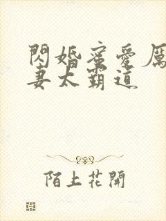 闪婚蜜爱厉少宠妻太霸道封面