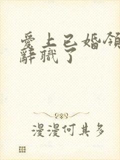 爱上已婚领导后辞职了