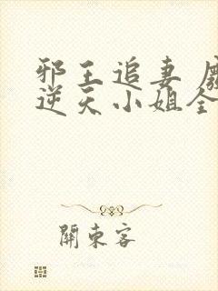 邪王追妻 废材逆天小姐全文阅读