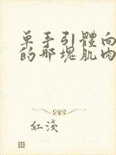 单手引体向上练的哪块肌肉