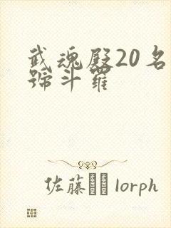 武魂殿20名封号斗罗