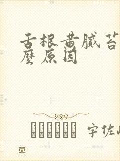 舌根黄腻苔是什么原因封面