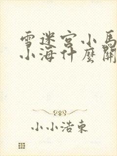 雪迷宫小马哥和小海什么关系