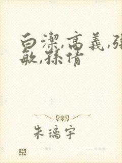 白洁,高义,张敏,孙倩