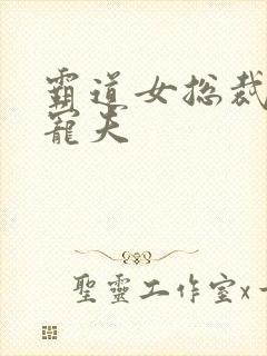 霸道女总裁实力宠夫封面