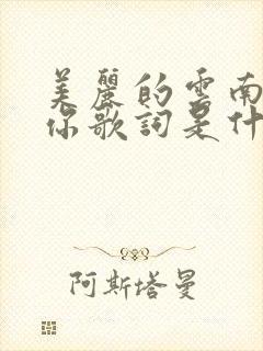 美丽的云南我爱你歌词是什么歌