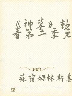 《神墓》动漫观看第二季免费