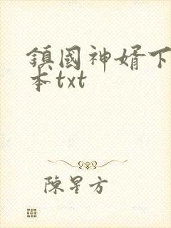 镇国神婿下载全本txt