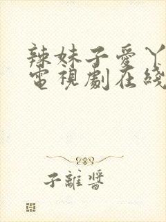 辣妹子爱丫爱丫电视剧在线播放