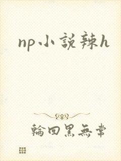 np小说辣h