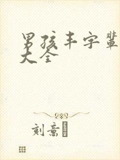 男孩丰字辈取名大全