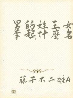 男的姓王女的姓李起什么名字