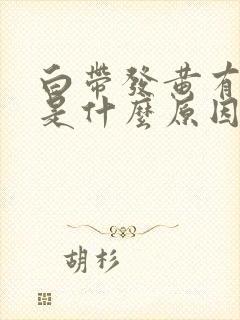 白带发黄有恶臭是什么原因