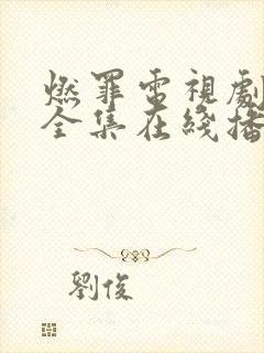 燃罪电视剧免费全集在线播放