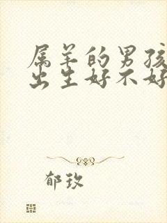 属羊的男孩午时出生好不好