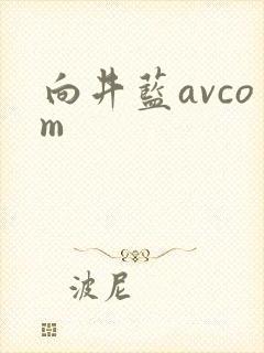向井蓝avcom
