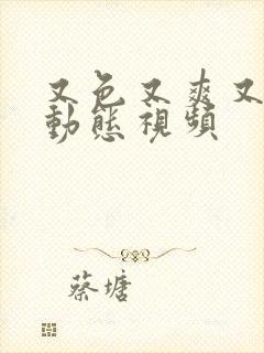 又色又爽又黄的动态视频