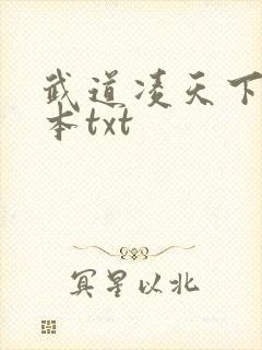 武道凌天下载全本txt封面