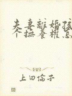 夫妻离婚孩子两个抚养权怎么判定