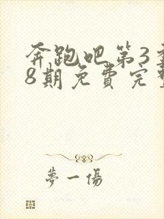 奔跑吧第3季第8期免费完整版