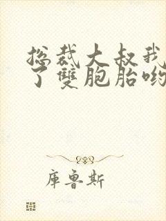 总裁大叔我怀孕了双胞胎哟小说免费阅读