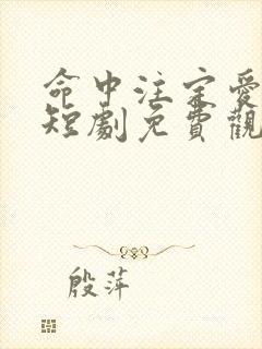 命中注定爱上我短剧免费观看封面