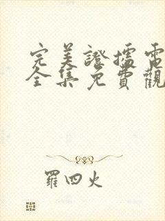 完美证据电视剧全集免费观看