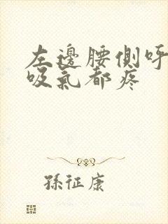 左边腰侧呼气和吸气都疼封面