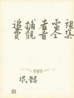 追捕者电视剧免费观看全集完整版