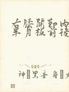 右膝关节内外侧半月板前后角损伤封面