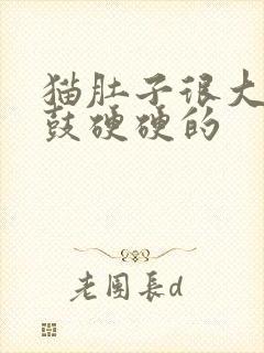 猫肚子很大两侧鼓硬硬的