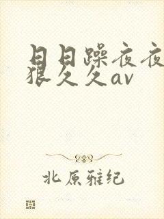 日日躁夜夜躁狠狠久久av