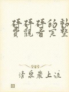 砰砰砰的动漫免费观看完整版高清网