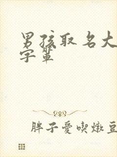 男孩取名大全永字辈