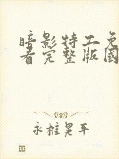 暗影特工免费观看完整版国语高清