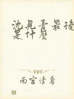 沈见青最后结局是什么