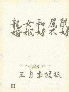 龙女和属鼠男配婚姻好不好