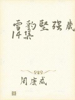 雪豹坚强岁月第14集